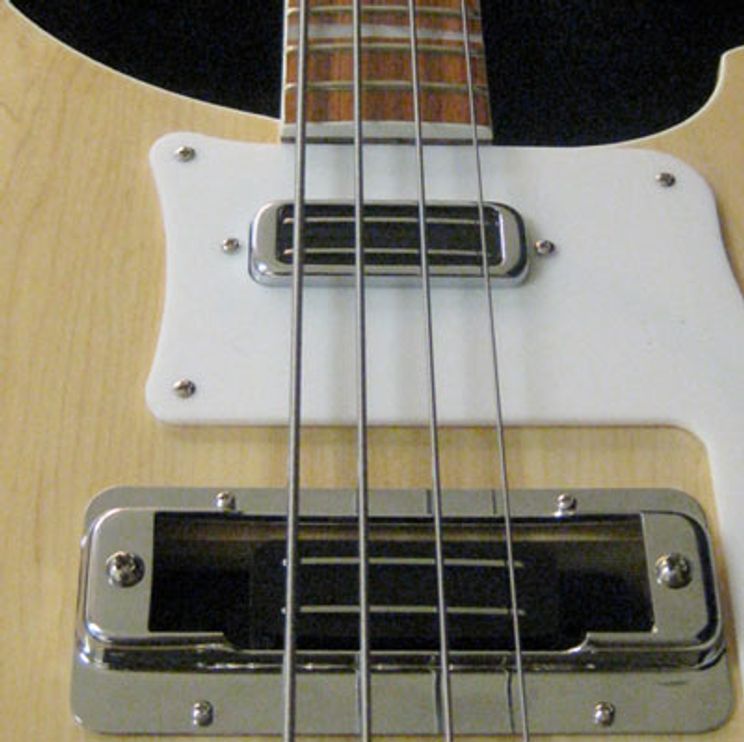 Rickenbacker 4001/4003 Bass DIY Kit Review (Mod Bass Kit-The