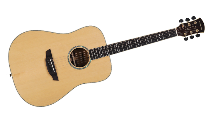 Echo, Sitka Spruce Dreadnought Acoustic Guitar